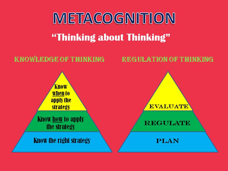 Metacognition SINGAPORE LEARNER (since 2004)