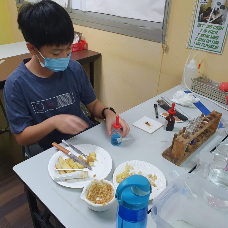 SINGAPORE LEARNER – We focus on Science Practical Training and ...